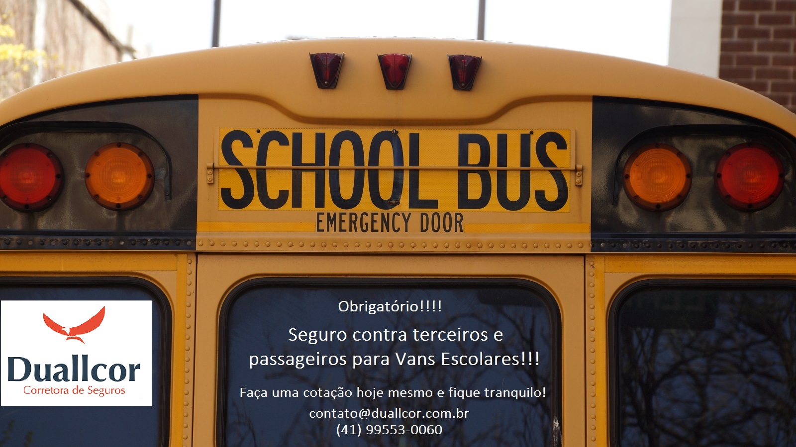 bus-school-school-bus-yellow-1596581